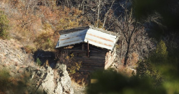 Erzurum'da Yaban Keçisi Avına Ceza