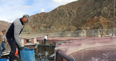 Erzurum'da Yılda 300 Ton Balık Üretimi