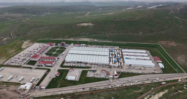 Erzurum'daki Kurban Pazarlarında Pazarlık Sesleri Yükseliyor