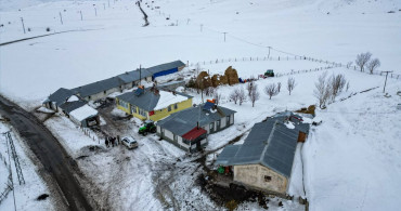 Erzurumlu Aile Hayvancılıkta Başarı Hikayesi