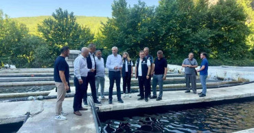 Eşen havzasındaki alabalık tesislerinde sektör değerlendirmesi