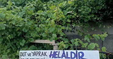 Eski belediye başkanından takdir toplayan örnek davranış