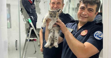 Eskişehir'de havalandırma boşluğuna düşen kedi itfaiye ekipleri tarafından kurtarıldı