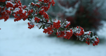 Eskişehir'de Kar Yağışı Etkili Oldu