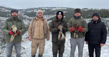 Eskişehir'de Yaralı Kuşların Tedavisi Başarıyla Tamamlandı