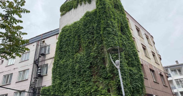 Eskişehir'deki Apartmanın Duvakları Sarmaşıklarla Yeşerdi