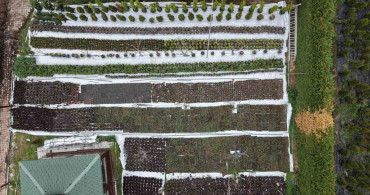 Ev Hanımı Filiz Köksal Kendi İşinin Patronu Oldu