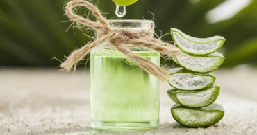 Evde Kendi Aloevera Sabununuzu Kendiniz Yapın! Yaşlanmayı Engelliyor