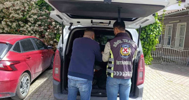 Fatih'te Sürücüye 180 Bin Lira Ceza Uygulandı