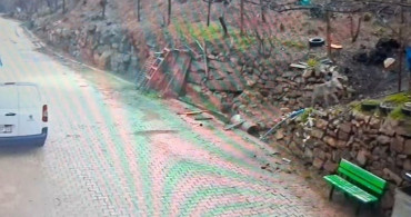 Feke İlçesinde Kurt Görüntüleri Kaydedildi