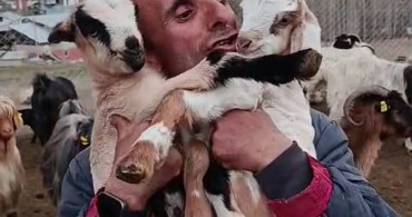 Fenomen Çoban Şahin Dürlü'nün Oğlak Sevgisi