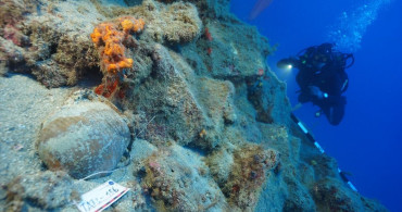 Fethiye Kıyılarında Tarihi Gemi Batıkları Keşfedildi
