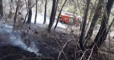 Fethiye'de orman yangını! Ekipler olay yerine intikal etti