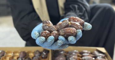 Filistinli Yetkililer, İsrail Hurmasının Yanıltıcı Pazarlamasına Dikkat Çekti