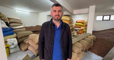 Fındık Fiyatları Düşmeye Devam Ediyor: Yeni Sezon Rekoltesi Belirleyici Olacak