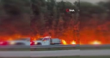 Florida'da orman yangınları 2 bin hektarlık alanı küle çevirdi