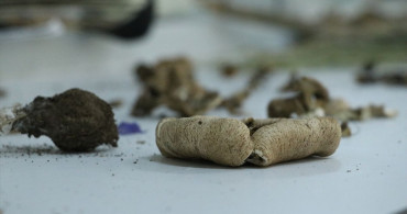 Ganos Dağı'ndaki Mantar Çeşitliliği Araştırması Başlatıldı