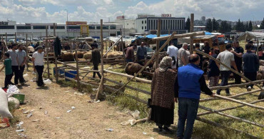 Gaziantep'te Arefe Günü Kurban Pazarlarındaki Yoğunluk