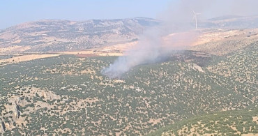 Gaziantep'te çıkan orman yangını havadan ve karadan müdahaleyle kontrol altına alındı