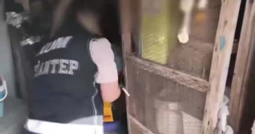 Gaziantep'te Ruhsatsız Silah Operasyonu: 1 Gözaltı