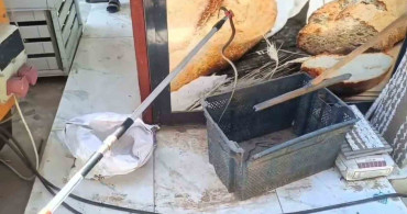 Gaziantep’te Yılan Paniği: İtfaiye Ekibi Hızla Müdahale Etti