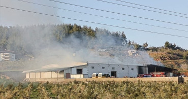 Gaziantep'teki Biber Fabrikasında Yangın Kontrol Altına Alındı