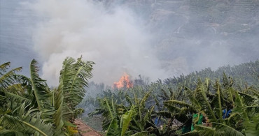 Gazipaşa'da Muz Bahçelerinde Yangın Çıkışı