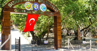 Gelenbe Mesire Alanı Alternatif Turizm İçin Açıldı