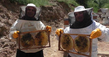 Gelin-görümcenin arıcılık başarısı: 5 kovandan 100 kovana ulaştılar