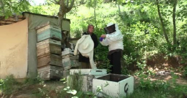 Gelin-görümcenin arıcılık serüveni 5 kovandan 100 kovana ulaştı