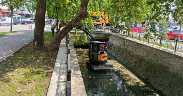 Gemlik çarşı deresi’nde temizlik çalışmaları başladı