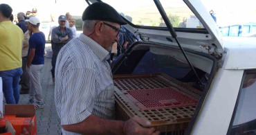 Gercüş'te 107 üreticiye yüzde 75 hibeli tavuk ve yem dağıtıldı