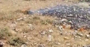 Gercüş'te çıkan yangın ekili alanları son anda kurtardı