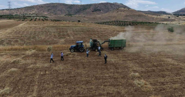 Gercüş'te kavurucu sıcakta oyun havalı hasat