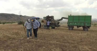 Gercüş'te kavurucu sıcakta oyun havalı mercimek hasadı