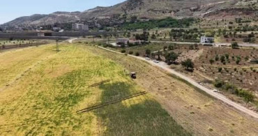 Gercüş’te Mercimek Hasadı: Çiftçilerin Yüzü Güldü