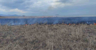 Gevaş'ta Anız Yangını