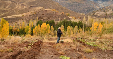 Giresun'da Emekli Banka Müdürü Antep Fıstığı Bahçesi Kurdu