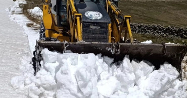 Giresun'da Mayıs Ayında Karla Mücadele
