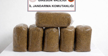 Giresun'da Uyuşturucu ve Kaçakçılığa Yönelik Operasyon