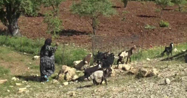 Göçerlerin Zorlu Yolculuğu Dronla Belgelendi