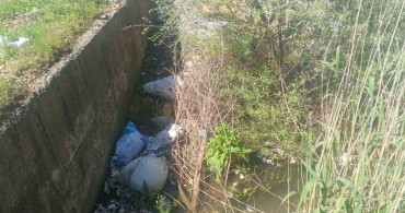 Gölbaşı'nda Su Kanallarına İlaçlama Talebi