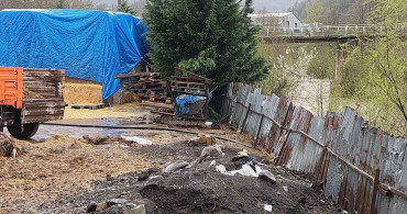 Gölcük'te Hayvansal Atık Skandalı