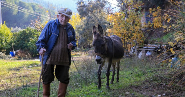 Görme Engelli Raif Kurt'un Eşeği 'Magare' ile 24 Yıllık Yolculuğu
