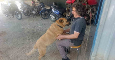 Gözleri Görmeyen Köpeğe 13 Yıldır Bakıyor