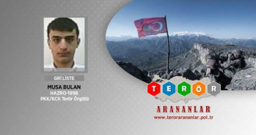 Gri Listede Yer Alan Van Saldırısının Failleri Etkisiz Hale Getirildi