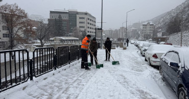 Gümüşhane'de Buzlu Yolda Araç Kaymaları Kamerada