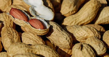 Günde 15-20 Adet Yer Fıstığı Yemek Hangi Hastalığın Önüne Geçiyor?