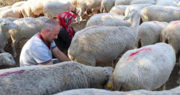 Günde İki Saat Mesai İle Ayda 15 Bin Lira Kazanıyorlar