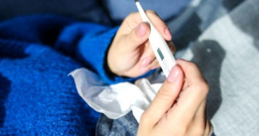 Güney Kore'de Coronavirüs Araştırması: Coronavirüs İkinci Kez Bulaşır Mı?